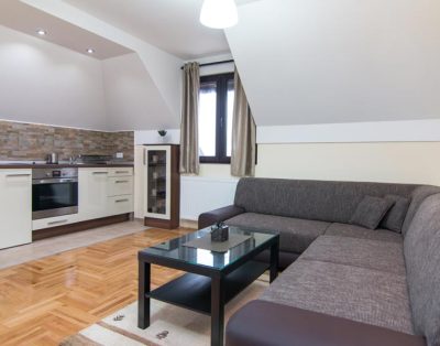 Relax apartmani Tara 2
