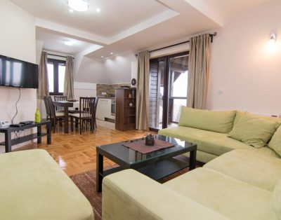 Relax apartmani Tara 3