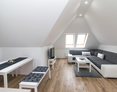 Relax apartmani Tara 4