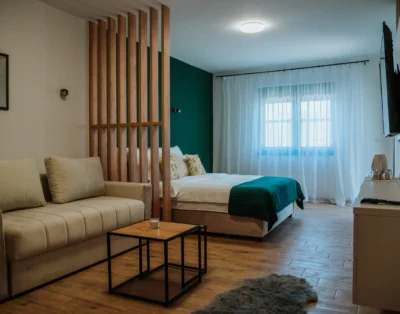 Vila K2 Vrdnik – Studio sa pogledom na planinu